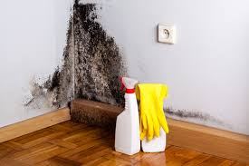 Best Mold Documentation for Insurance Claims  in Pike Creek, DE